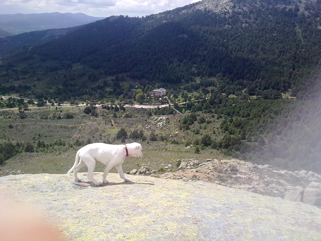Hotel Rural Las Postas Navacerrada Εξωτερικό φωτογραφία